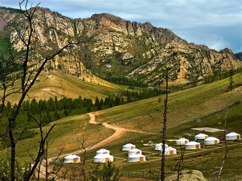 What is ger camp in Mongolia?