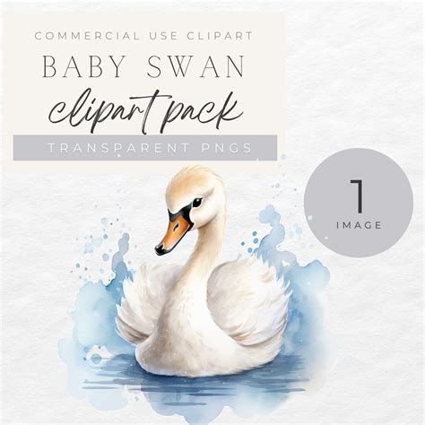 Baby Swan Clipart, Watercolor Nursery Wall Art, Cute Animal Print ...