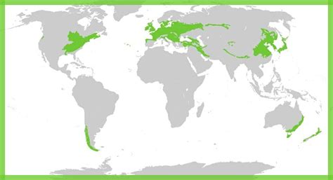 Tropical Deciduous Forest & Top 3 In The World - Travel Mate