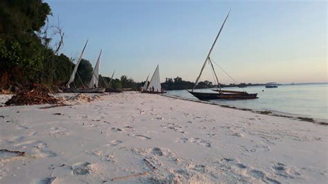 Diving Pemba Island’s Coral Reefs – CORDIOEA