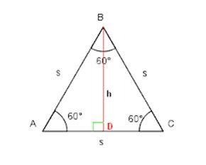 ALTITUDE OF A TRIANGLE | Altitude Of A Equilateral Triangle Formula