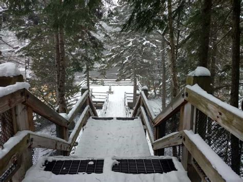 Winter Adventures at Tahquamenon Falls State Park