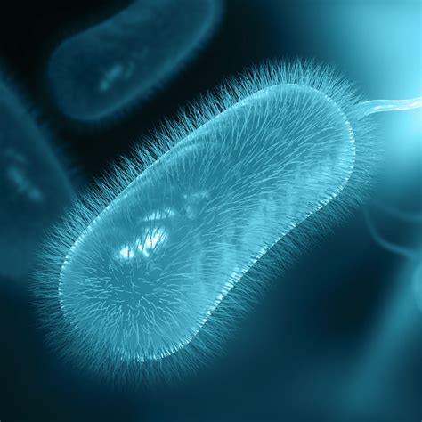 Ethide Laboratories - Bacterial Endotoxin Testing For Medical Devices