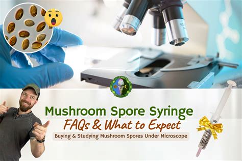 Mushroom Premium Quality Spores Syringe | FAQS