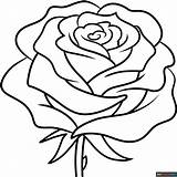 Realistic Rose Flower Coloring Page  Easy Drawing Guides sketch template