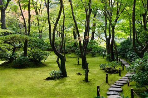 Japanese garden path Stock Photos, Royalty Free Japanese garden path ...