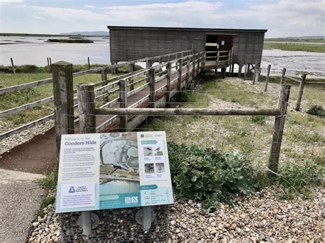 Discover the Best of Rye Harbour Nature Reserve on the Easy Circular ...