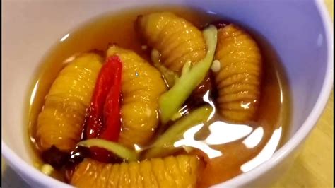 Giant Maggots - Coconut Worms as a Snack in Restaurants - Vietnam - YouTube