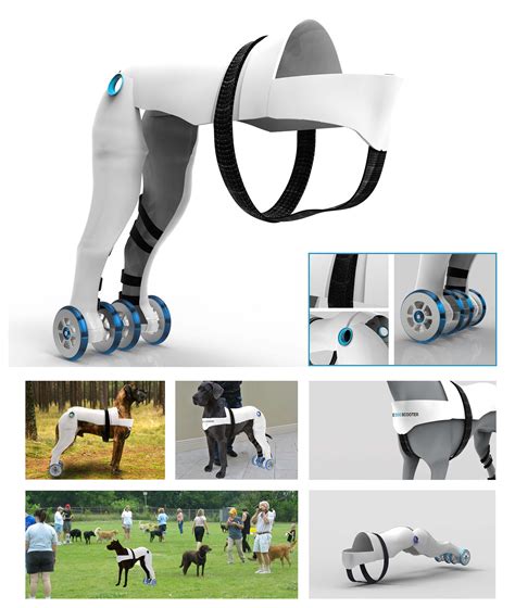 The Dog Scooter on Behance