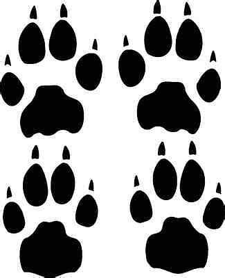 CHEETAH track / footprint sticker / paw print decal | eBay