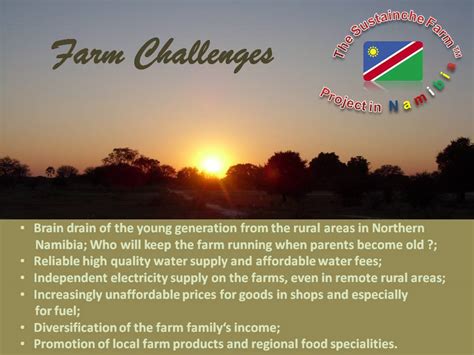 Challenges | The Sustainche Farm™ Project