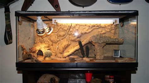 bearded dragon cage setup ideas #beardeddragonhabitat | Bearded dragon ...