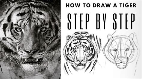 EASY Step by Step Guide for Drawing a Realistic Tiger - YouTube