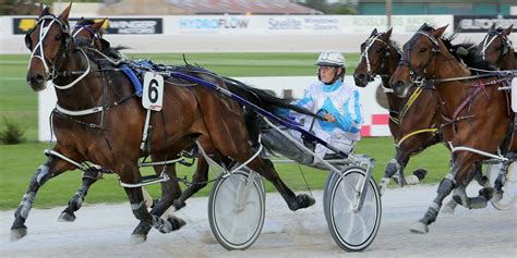 Mark Jones Harness Racing Stable - Mark Jones Harness Racing