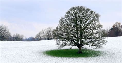 Sussex weather: Met Office gives verdict on county's chances of a white Christmas - SussexLive