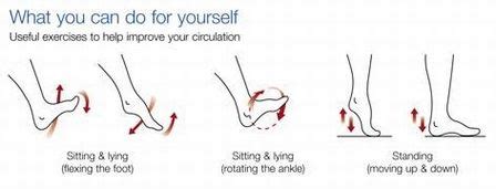 Ankle isometric exercises - nimfaclean