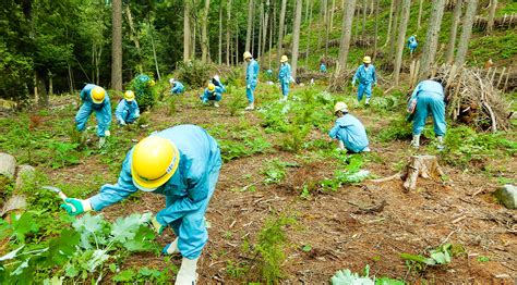 Water Resource Forest Conservation Program: Kubota Forest | Community Engagement: Kubota e ...