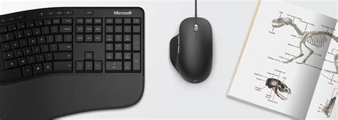 Microsoft Ergonomic Mouse :: Behance