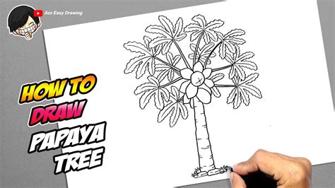 How To Draw A Papaya Tree? Update - Activegaliano.org