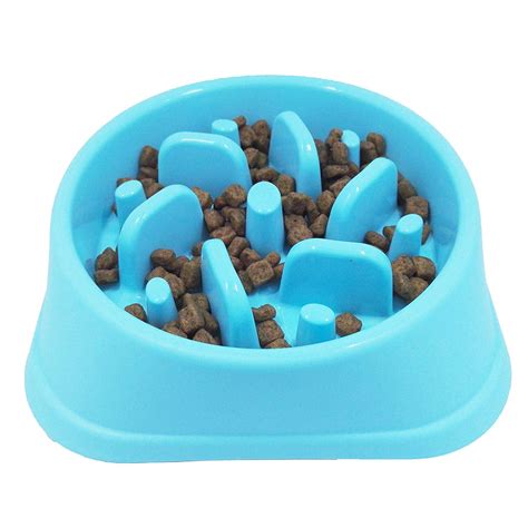 Unleash the Fun with the Top 10 Maze Dog Food Bowls! - Furry Folly