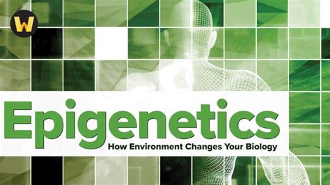 Epigenetics: How Environment Changes Your Biology | TutsNode