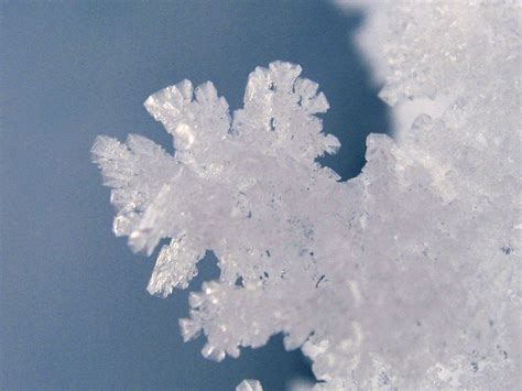 Hoar crystals | Surface hoar frost growing on the snow, Whis… | Ruth Hartnup | Flickr