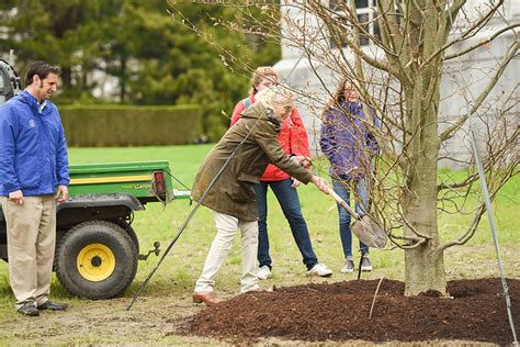 Earth Day tree planting ceremony will have special dedications – SALVEtoday