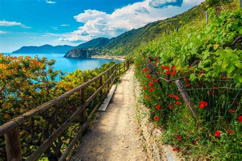 2024 Cinque Terre Hiking Trails