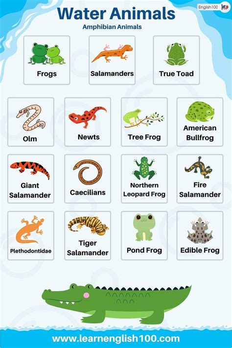 Water Animals - English 100