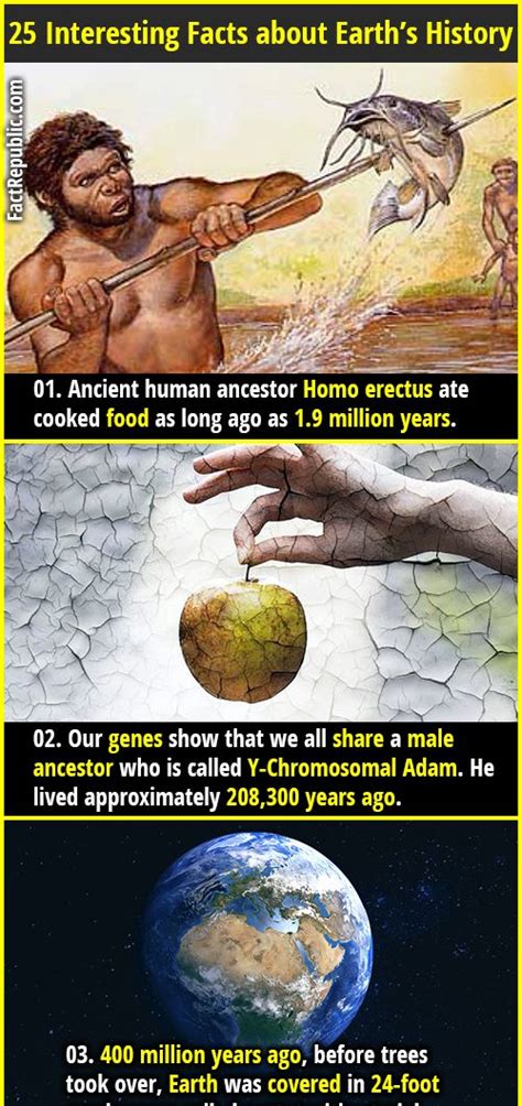 25 Interesting Facts about Earth's History | Fact Republic | Facts about earth, Fun facts about ...