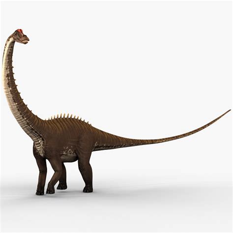 Diplodocus Dinosaur Facts, Habitat, Size, Fossils & Pictures