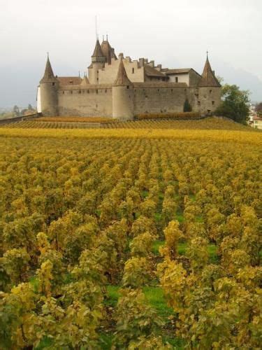 Castle at Lake Geneva | Castle, Castle mansion, Europe travel