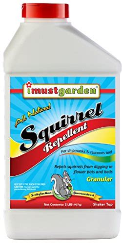 Best Squirrel Repellent [5 OPTIONS REVIEWED] - Living the Outdoor Life