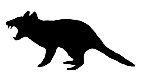 Tasmanian Devil Silhouette at GetDrawings | Free download