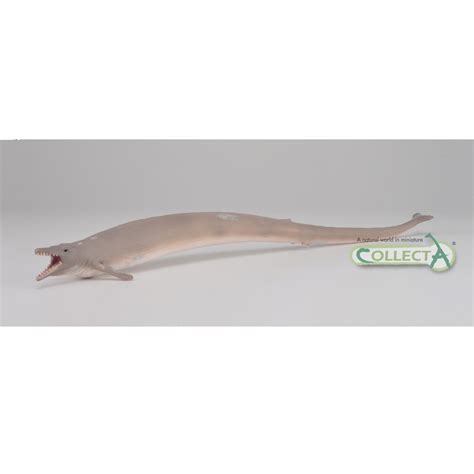 CollectA Basilosaurus Prehistoric Life Extinct Whale Model