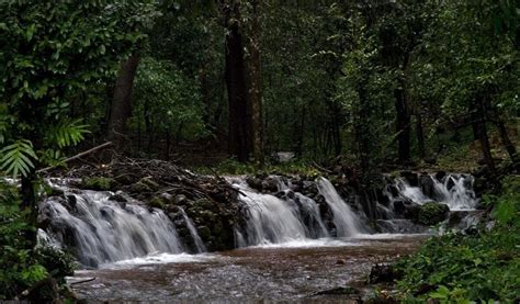 Agumbe - Daksh india