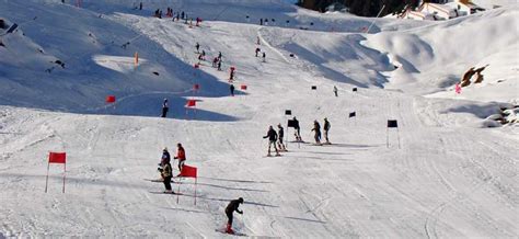 23 Auli Tour Packages 2024: Book Holiday Packages at the Best Price