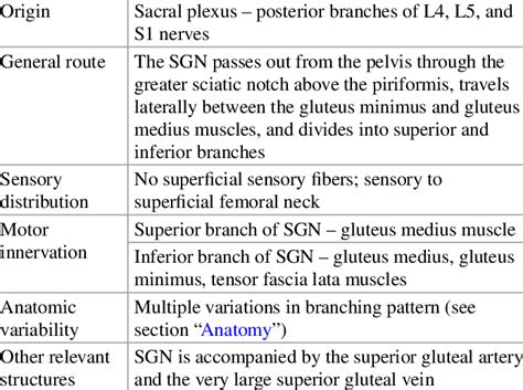 2 Superior gluteal nerve anatomy | Download Table