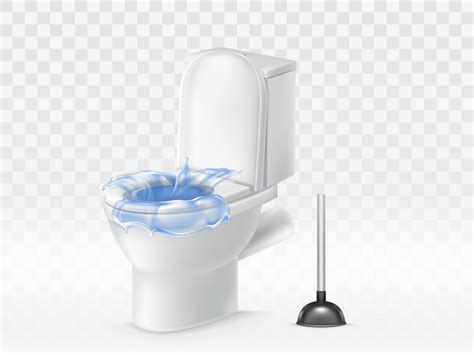 How To Clear The Toilet Blocked Sale | www.cumberland.org