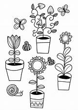 Plant Needs Coloring Page Pages sketch template