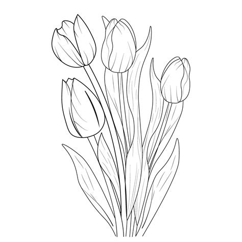 vintage tulip illustration, tulip flower drawing, pencil realistic ...