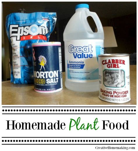 How to Make Homemade Plant Food — Info You Should Know