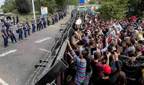 FLASHBACK! HUNGARY BUILDS BORDER FENCE – Every American Needs To See WHAT HAPPENED THE NEXT DAY...