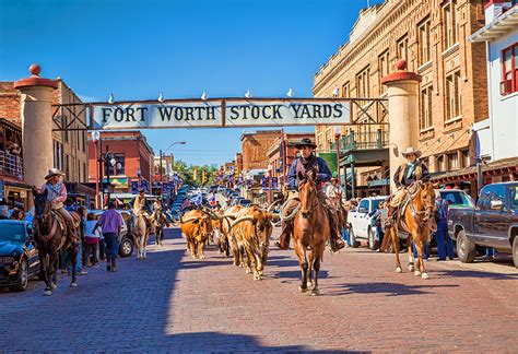 The Herd - Daily Longhorn Cattle Drive | Fort worth zoo, Fort worth ...