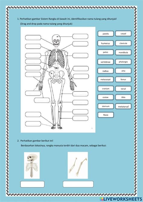 LKPD Sistem Gerak pada Manusia worksheet | Live Worksheets