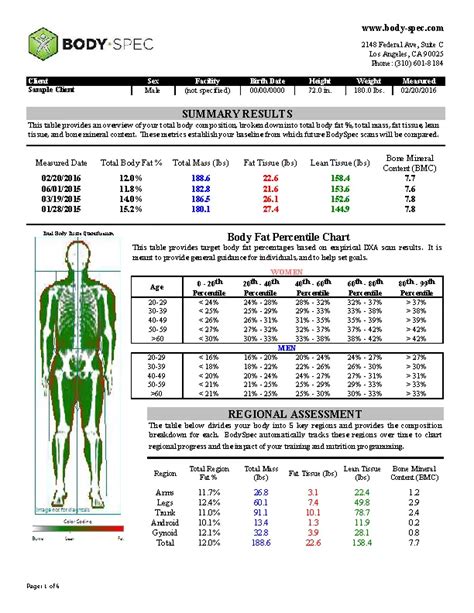 Example Body Fat Percentage Chart - PDFSimpli