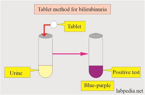 Lab Tests - Labpedia.net