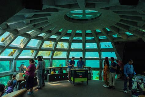 City council faces criticism over Seattle Aquarium expansion | Aug. 16-22, 2023 | Real Change