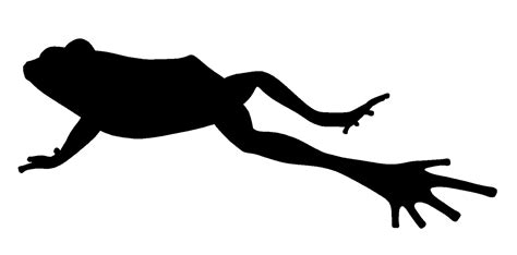 Toad Frog jumping contest Silhouette Clip art - frog png download - 1299*643 - Free Transparent ...