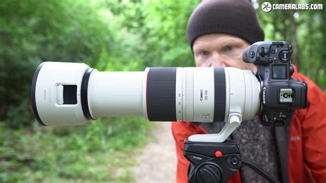 Canon RF 100-500mm f4.5-7.1L review | Cameralabs